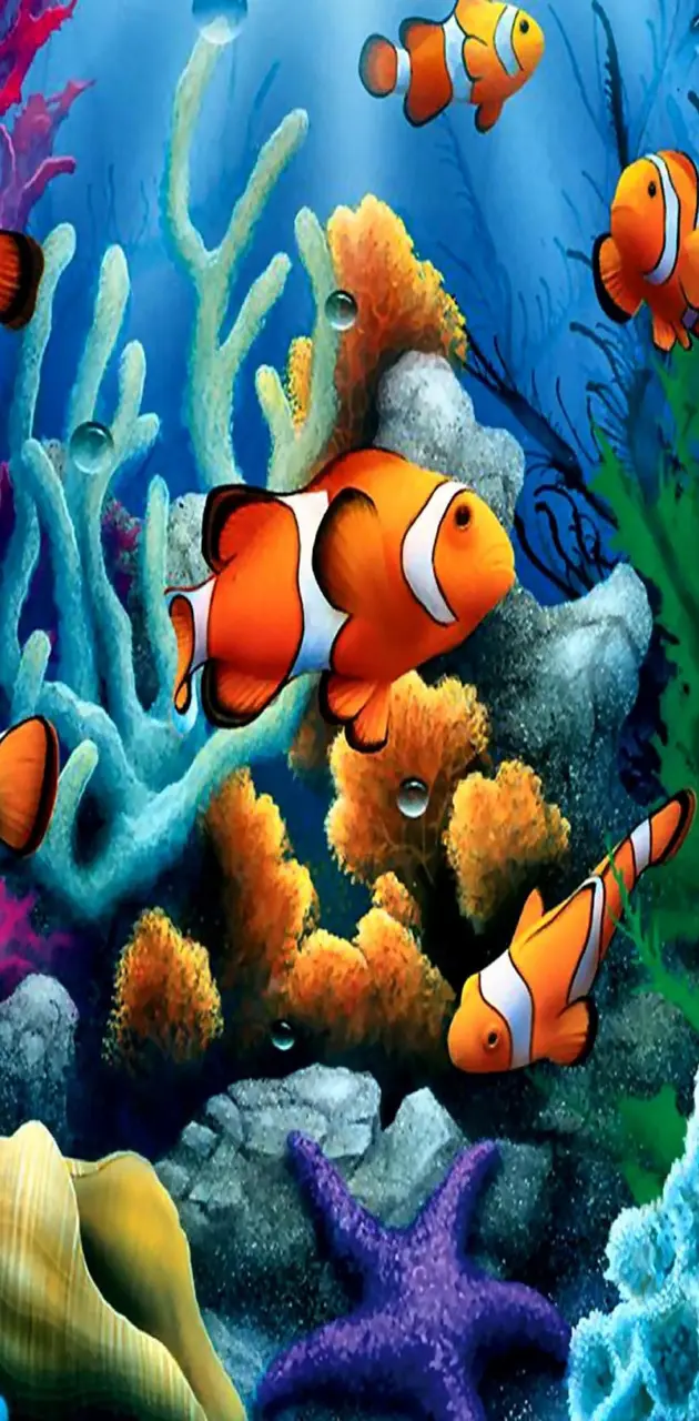 under water fish