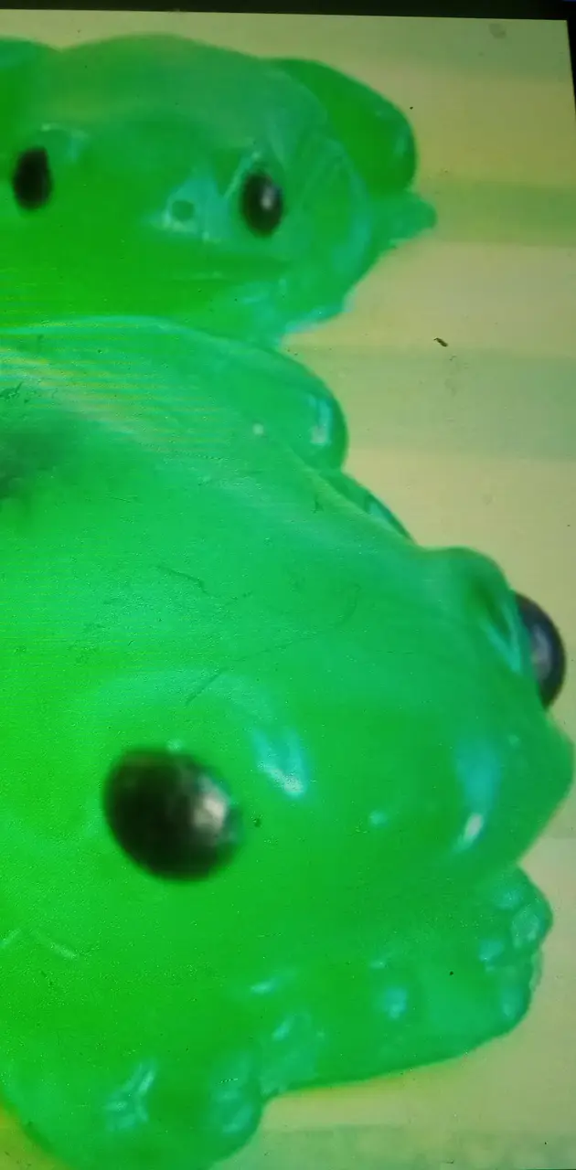 Froggy Soap