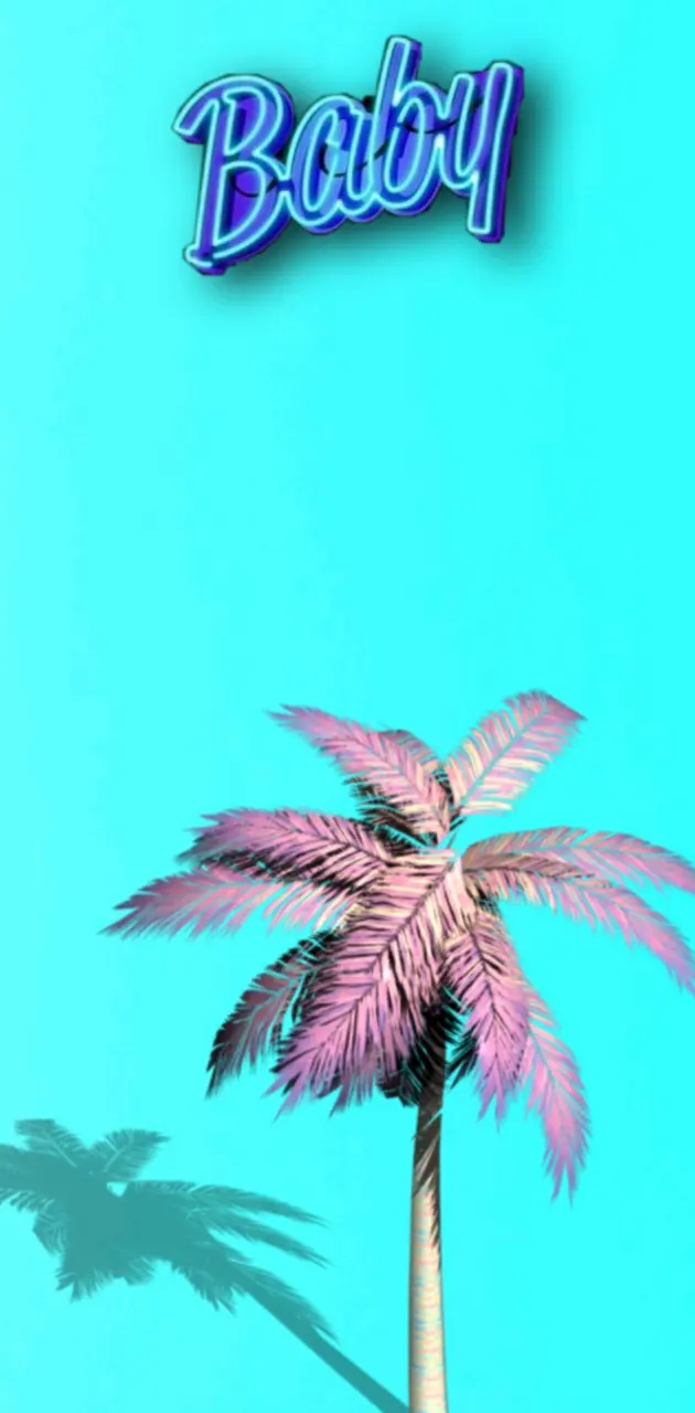 Palmtree in Miami