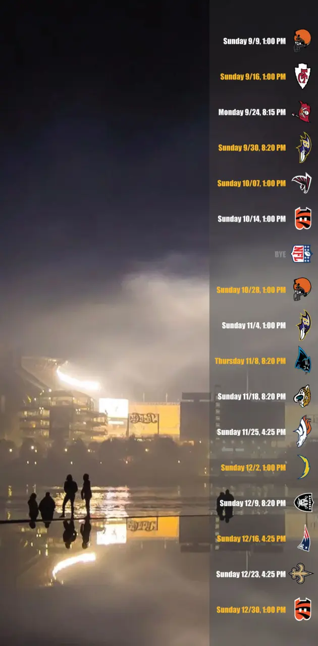 Steelers 2018 iPhone