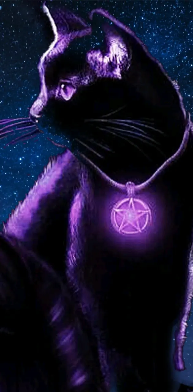 Kitty in space