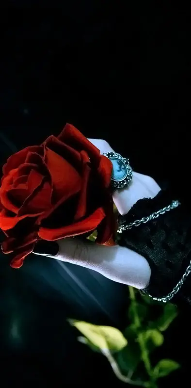 Rose In Hand Gothic