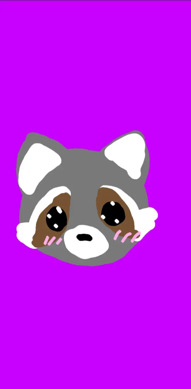 Kawaii Raccoon 