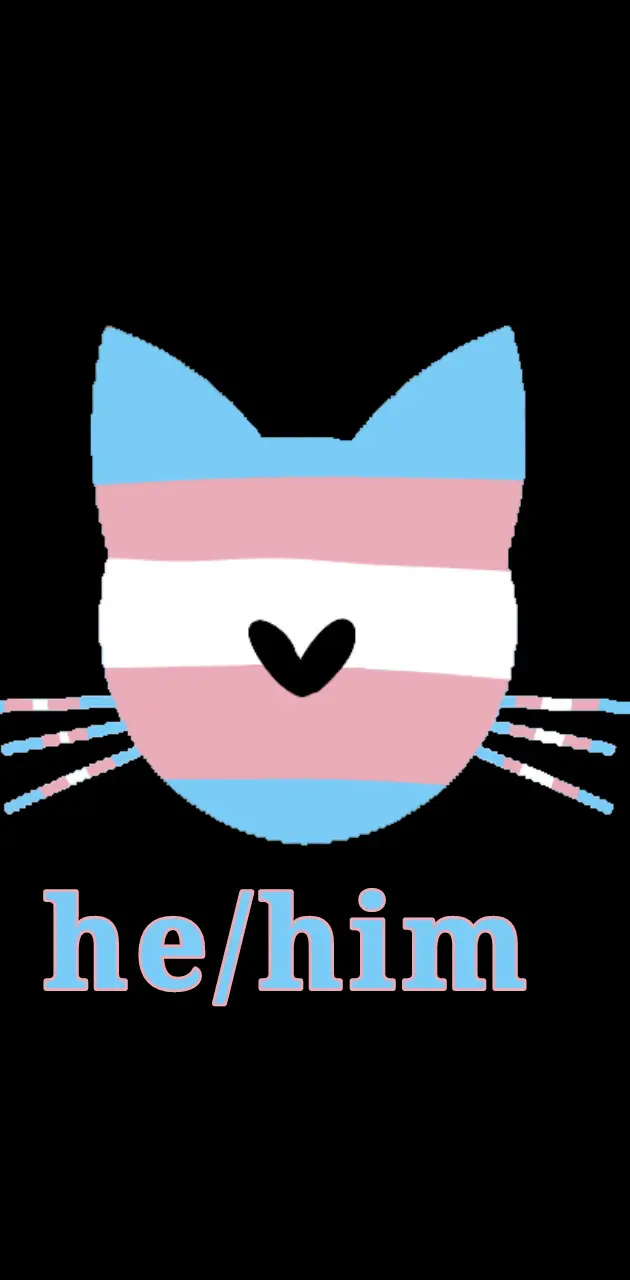 Transgender he/him