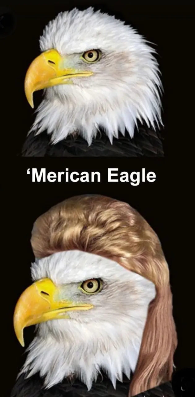 Mexican eagle 