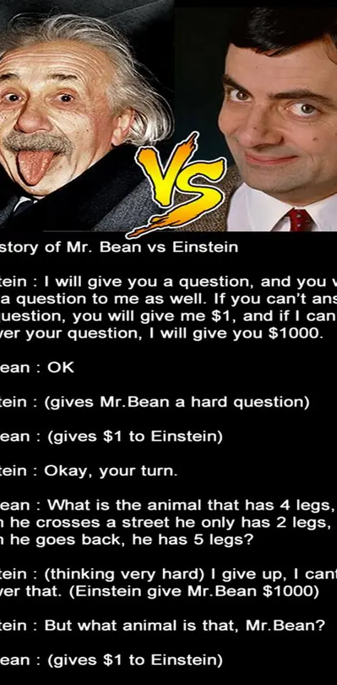 Mr Bean vs Einstein