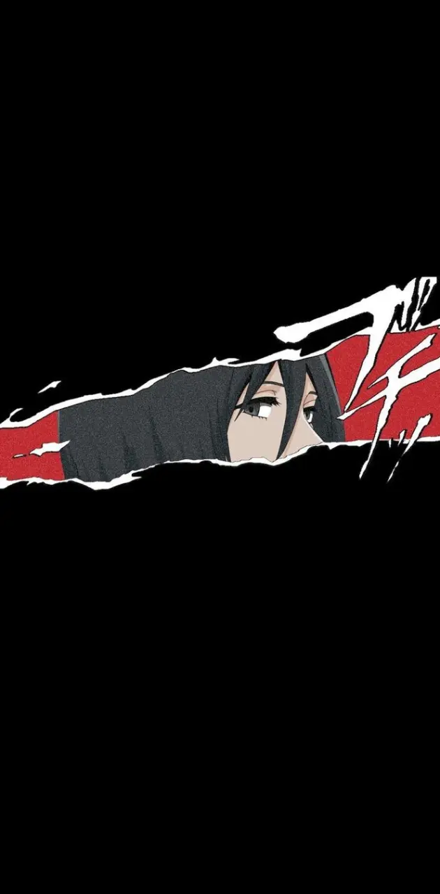 Mikasa wallpaper
