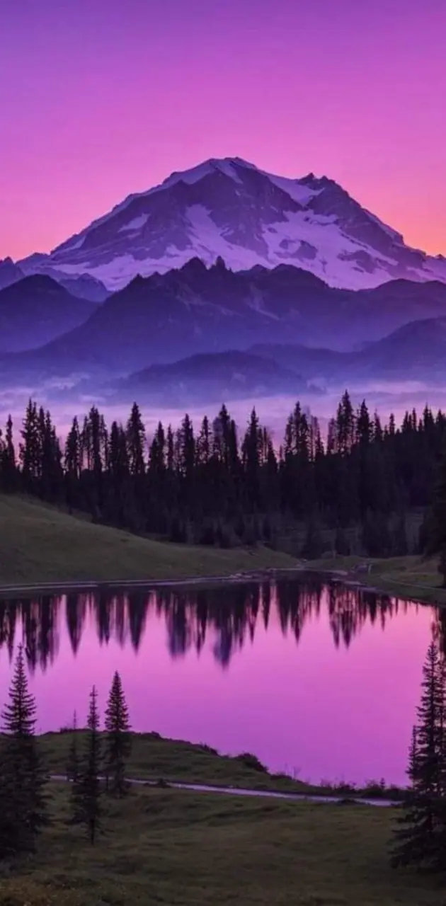 Purple Mountain 