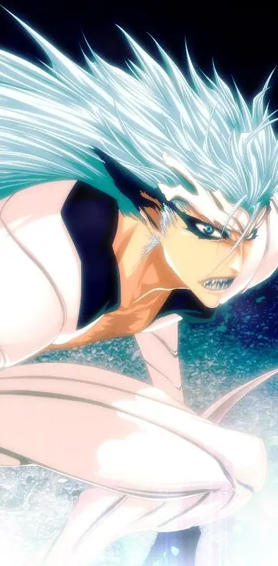 Grimmjow-jeagerjaque