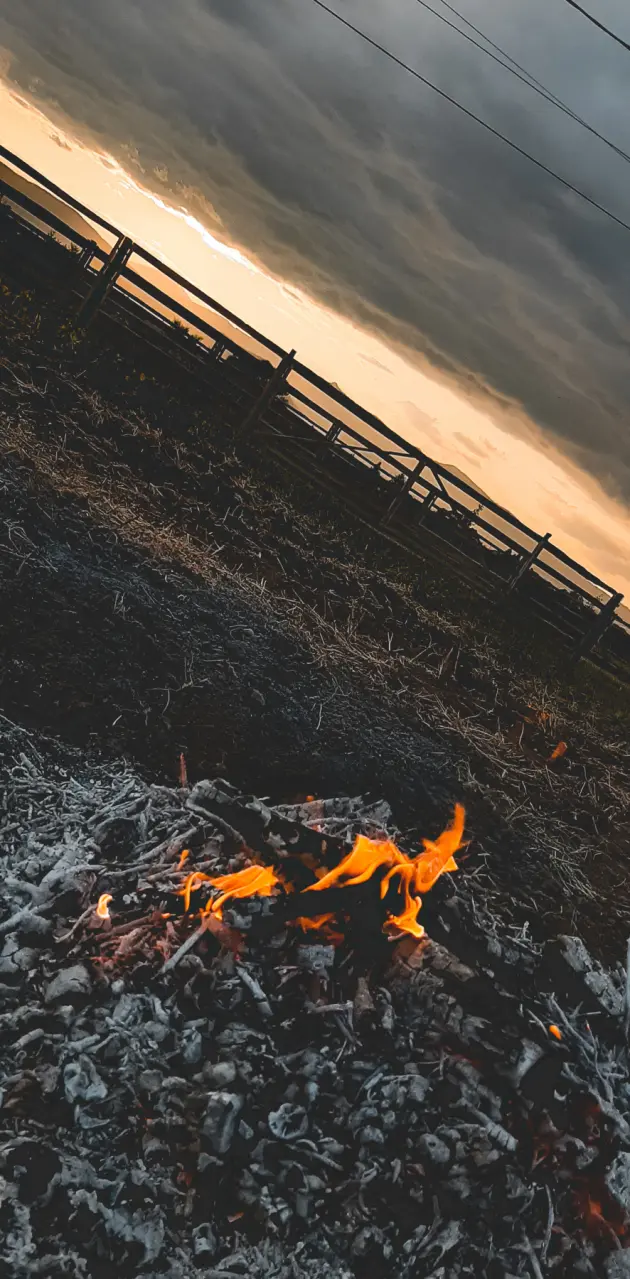 Little campfire