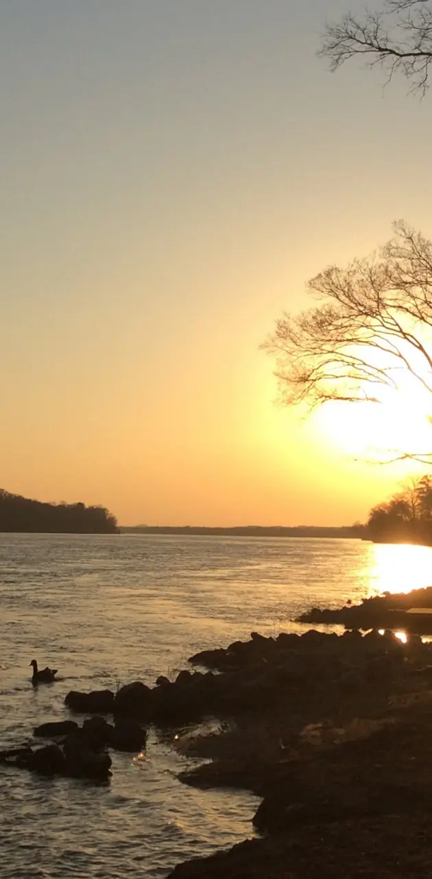 TN River Sunset