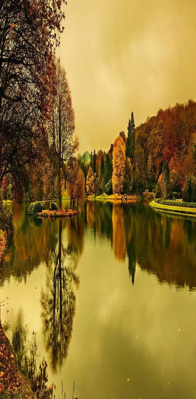 Lake autumn trees