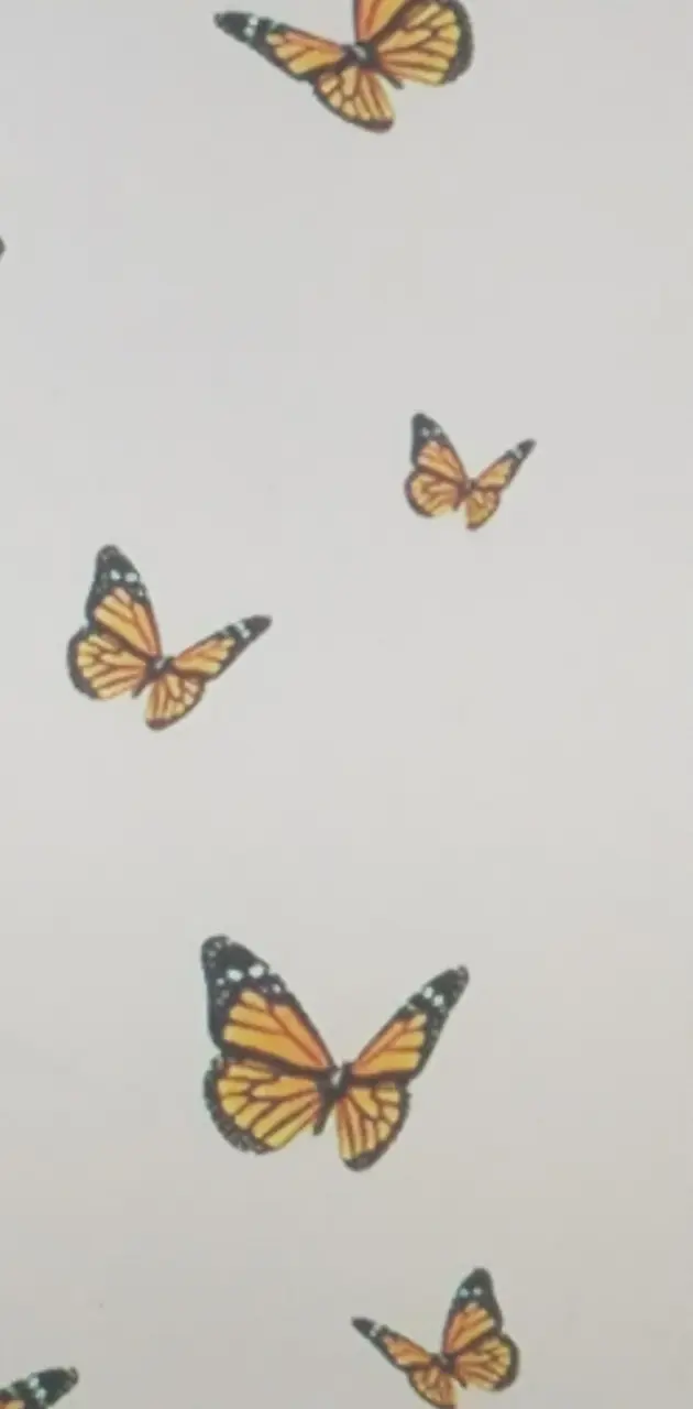Pastel Butterfly 