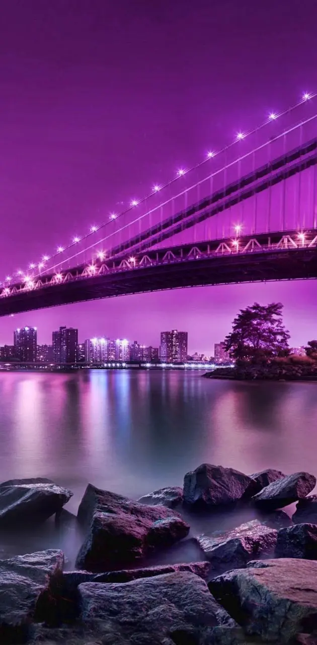 Purple Lighted Bridg