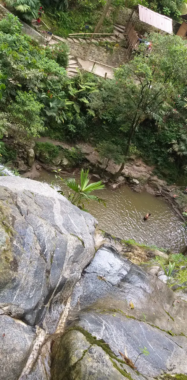 Jungle and water