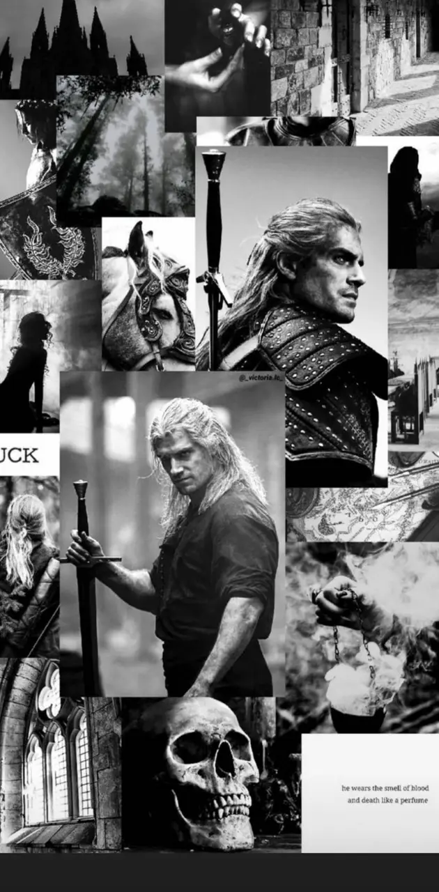 The witcher