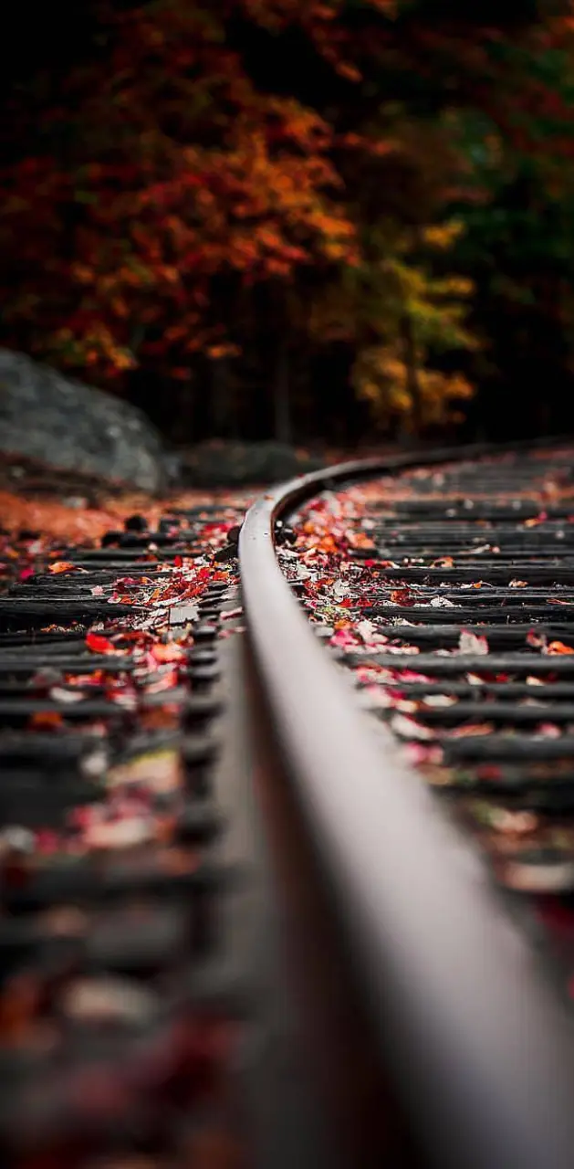 Railway Track 