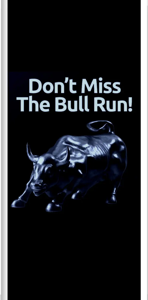 Bull Market BTC