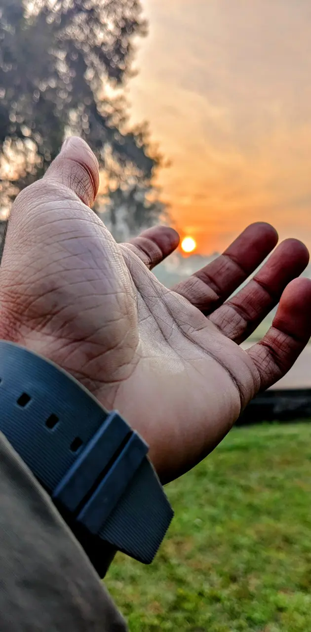 Sunrise 🌅 on Hand 