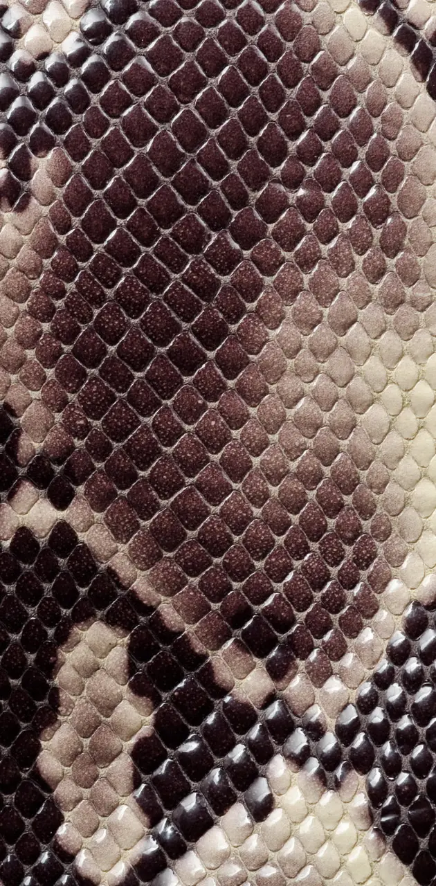 snake skin 