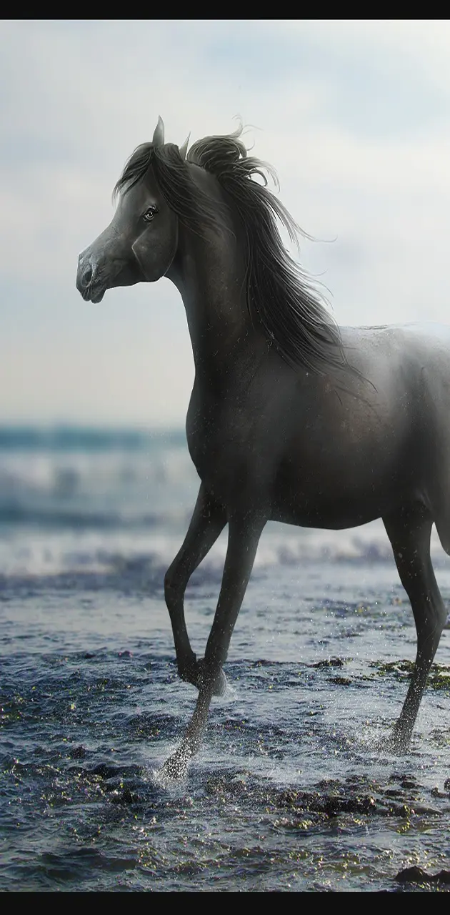 Awesome Horse