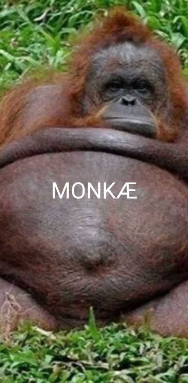 Monkae