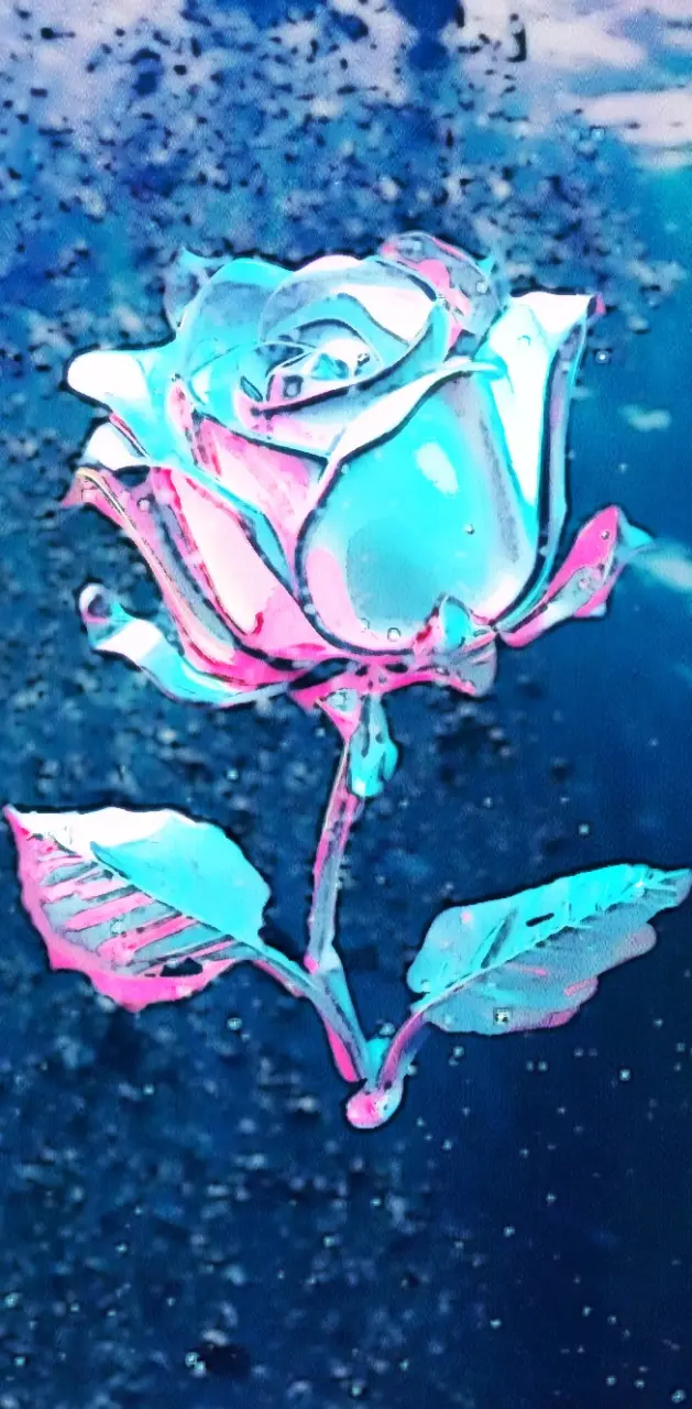 Rosa acuáticas