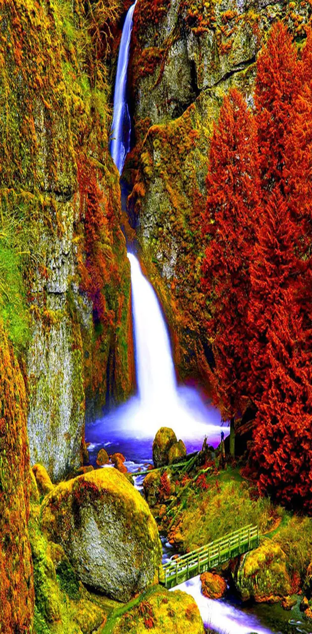 Gorgeous Waterfall