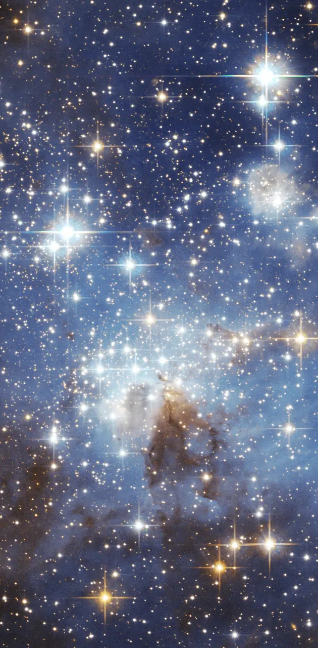 Lg Magellanic Cloud
