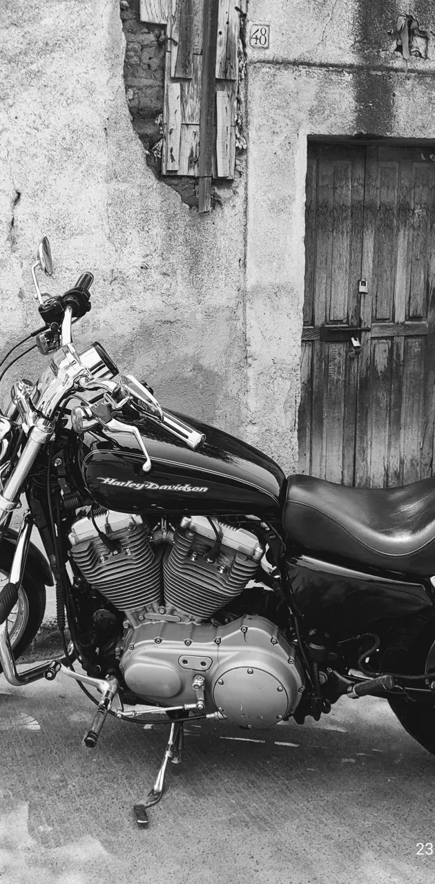 Harley Moto Tour