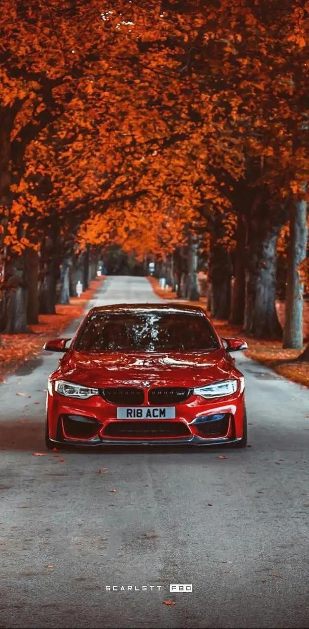 BMW RED