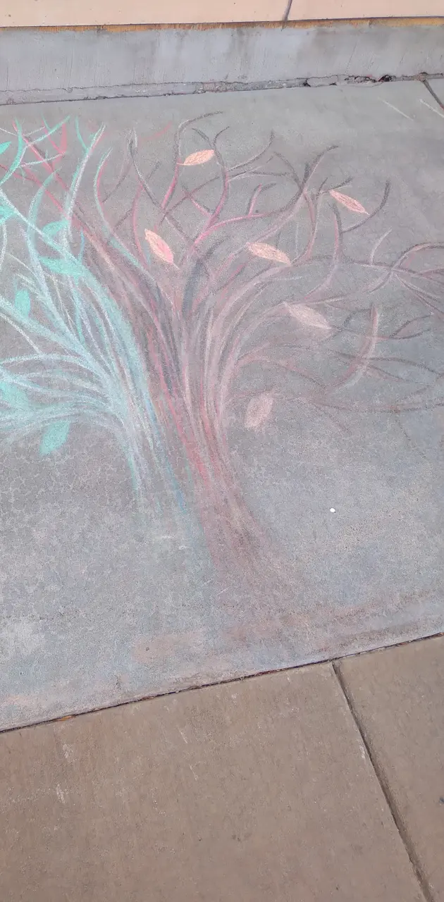 Chalk art on street 