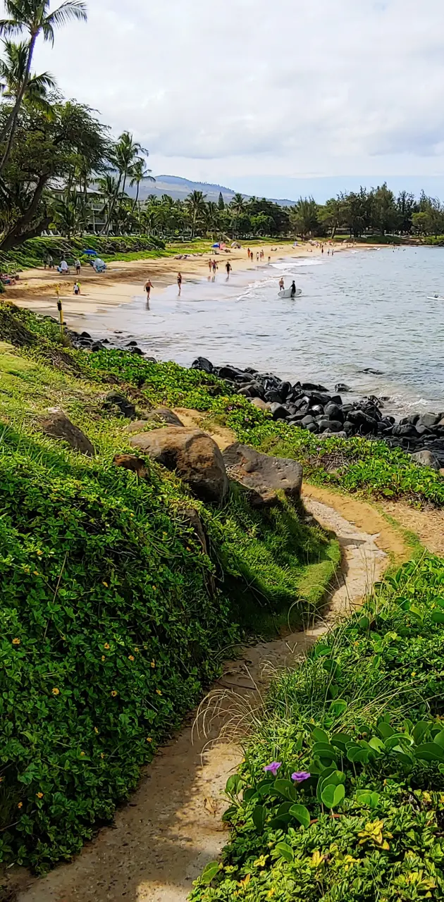 Maui path to beach