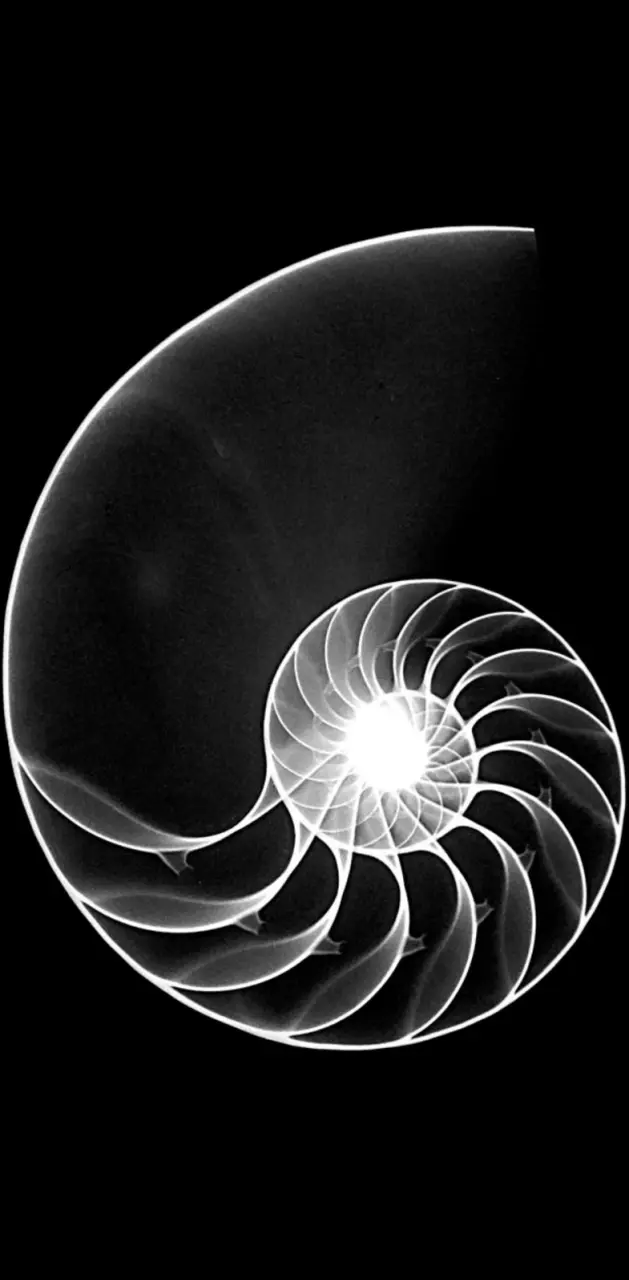 Nautilus X-Ray