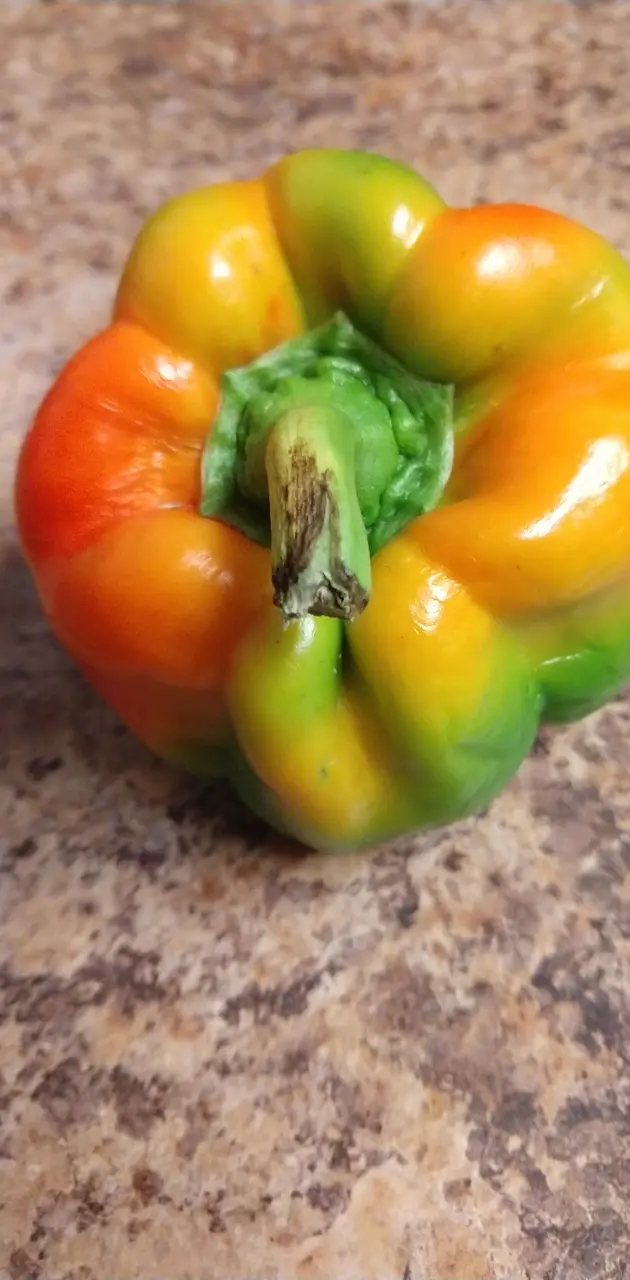 Rainbow pepper