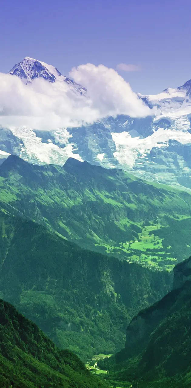 The Mighty Jungfrau