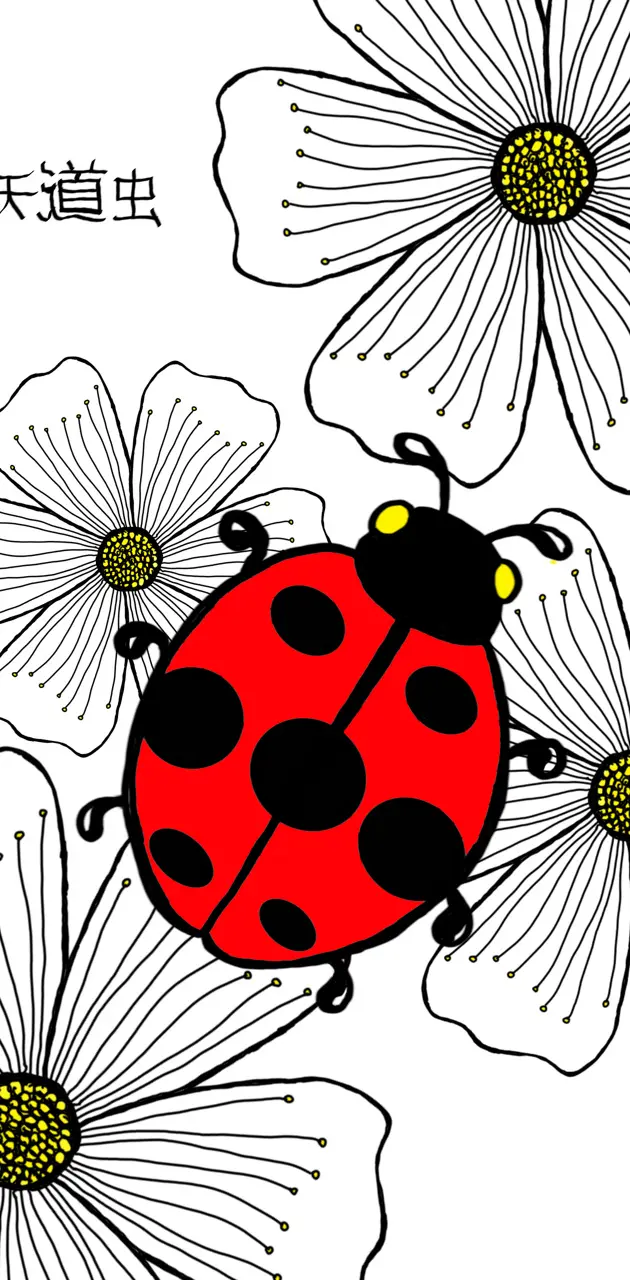 Tentomushi Ladybug 🐞 