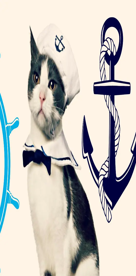 Sailor  Cat