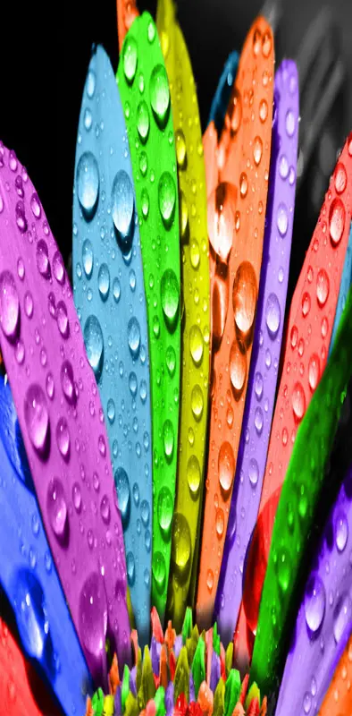 Colorful Drops
