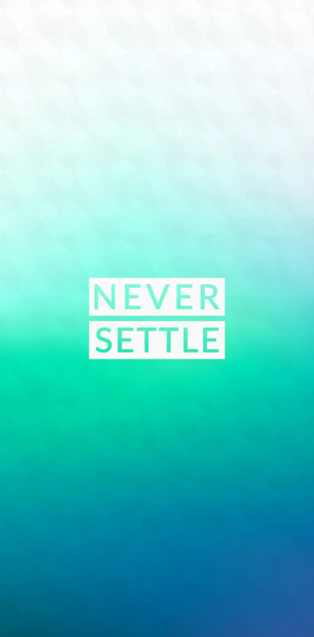 Never Settle 