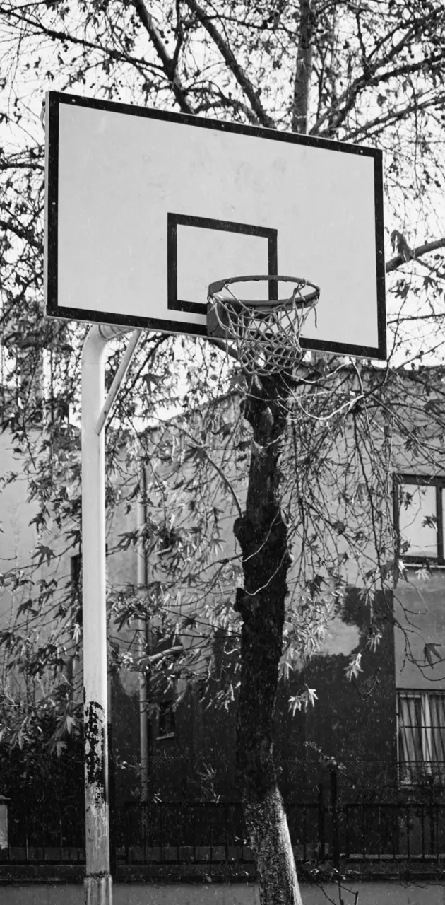 Basketbol Pota