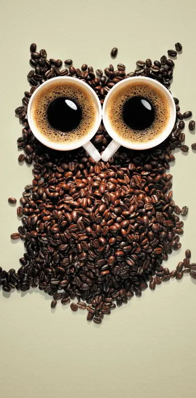 Coffee Beans Owl