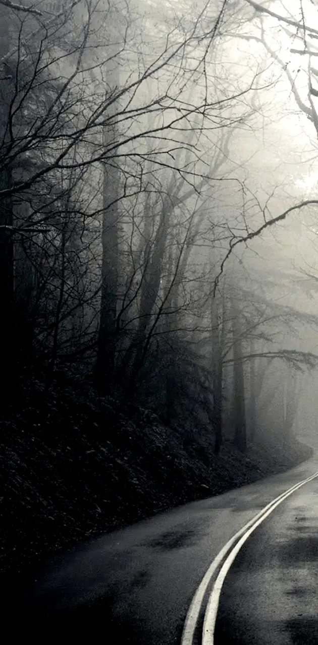 dark road 