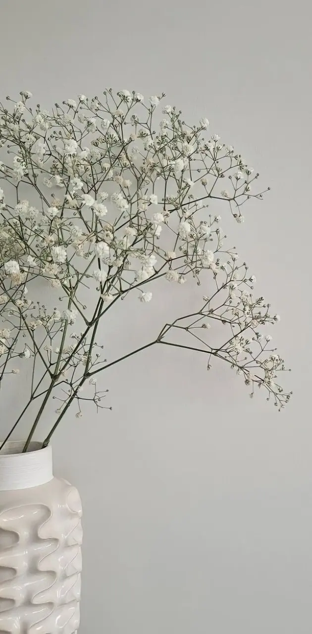 White plant