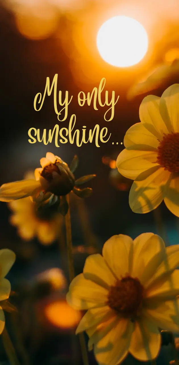 My only sunshine