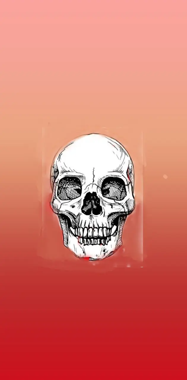 skull xd