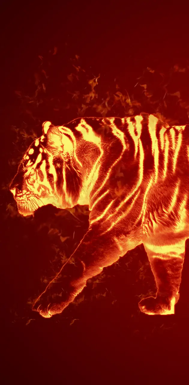 Tiger in flames