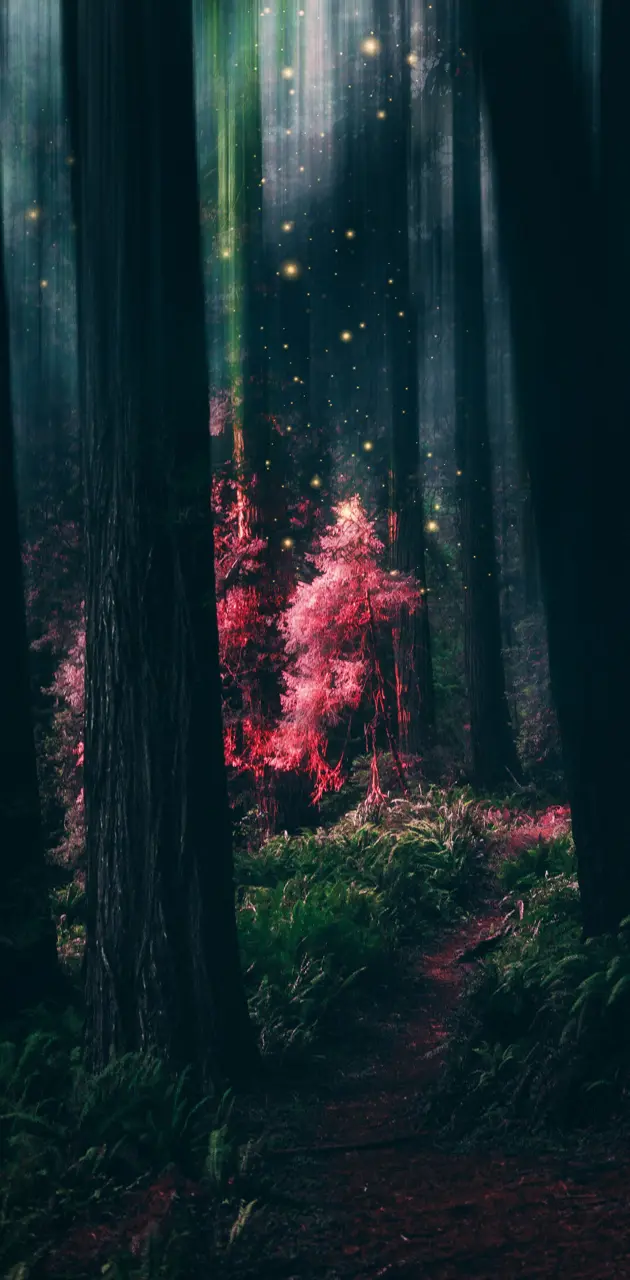Magical Forest