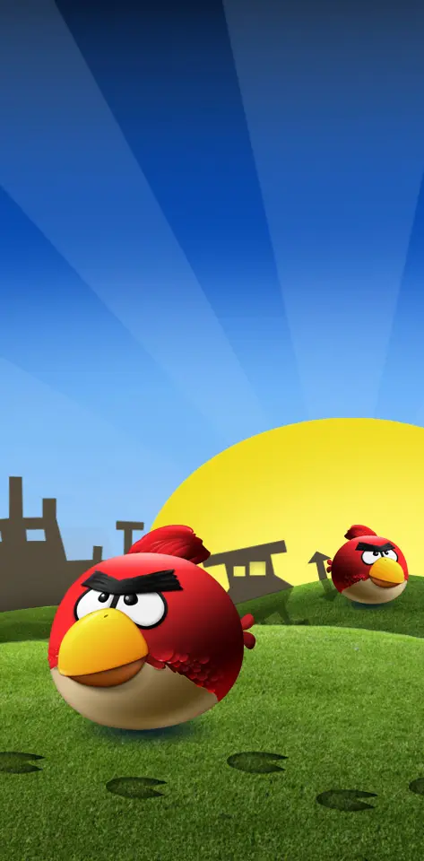 3d Angry Birds