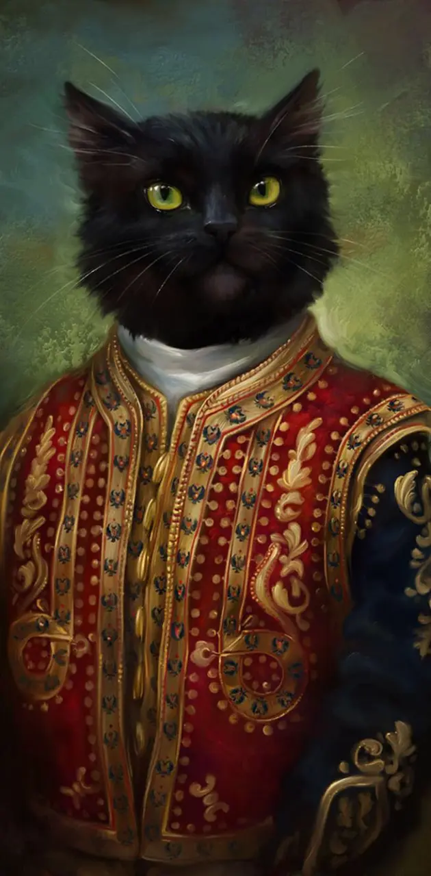 sir cat 